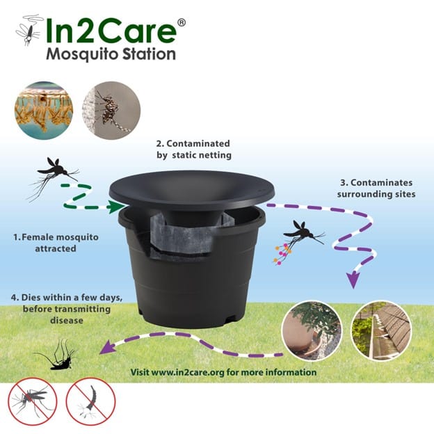 Mosquito Treatments in Nashville